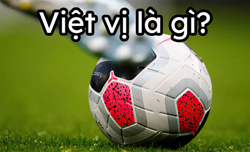 loi-viet-vi-la-gi